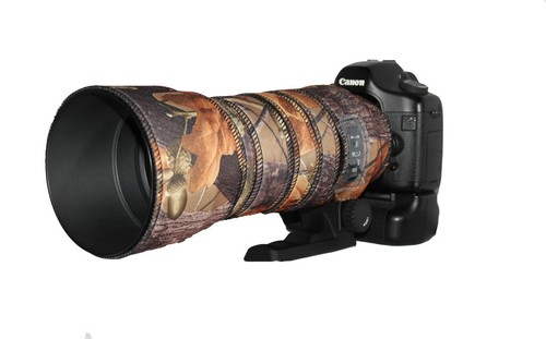 Sigma 120 400mm 6 dg - 5.6,