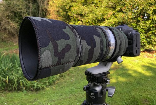 Canon 100 500mm 7 1 - 100, f4.5